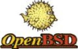 OpenBSD 4.6 для платформы i386 1DVD