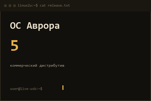 ОС Аврора 5 (мобильная) — справочная карточка