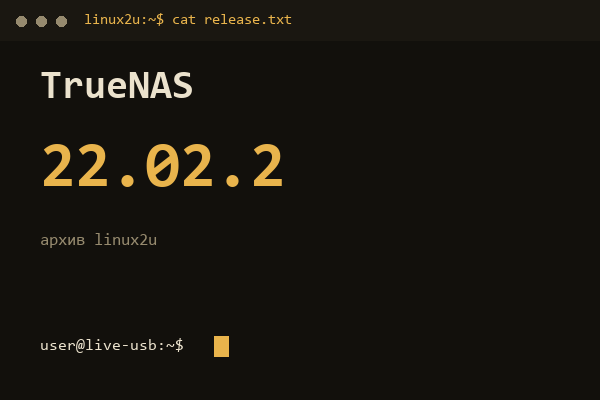 TrueNAS SCALE 22.02.2 — обложка карточки архива Linux2U