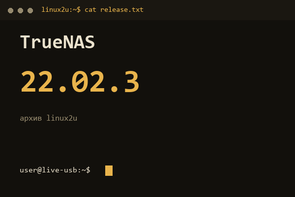 TrueNAS SCALE 22.02.3 — обложка карточки архива Linux2U