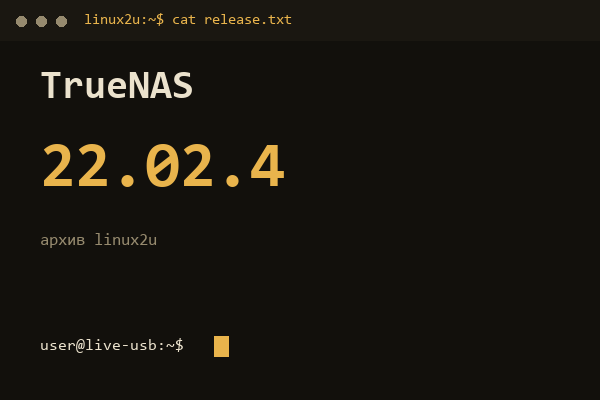 TrueNAS SCALE 22.02.4 — обложка карточки архива Linux2U