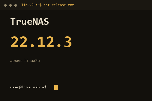 TrueNAS SCALE 22.12.3 — обложка карточки архива Linux2U
