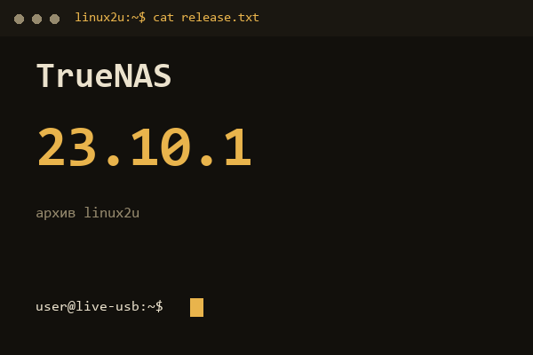 TrueNAS SCALE 23.10.1 — обложка карточки архива Linux2U