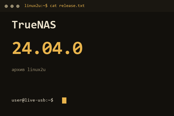 TrueNAS SCALE 24.04.0 — обложка карточки архива Linux2U