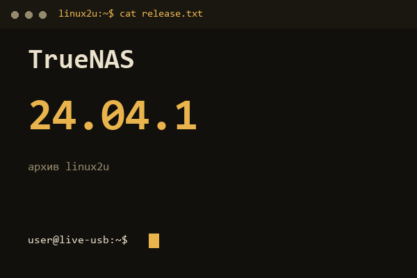 TrueNAS SCALE 24.04.1 — обложка карточки архива Linux2U