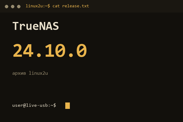 TrueNAS SCALE 24.10.0 — обложка карточки архива Linux2U