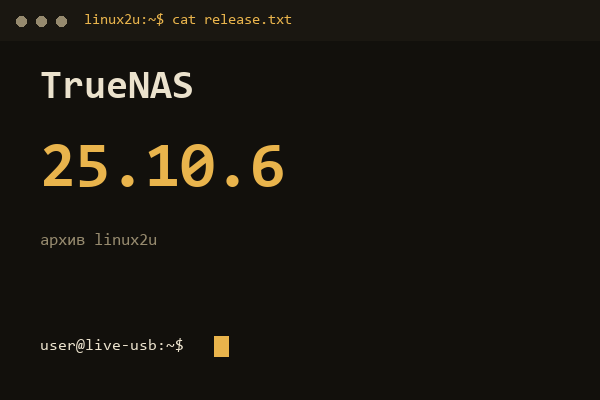 TrueNAS SCALE 25.10.6 — обложка карточки архива Linux2U