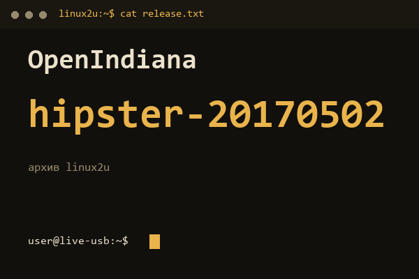 OpenIndiana Hipster 20170502 — обложка карточки архива Linux2U