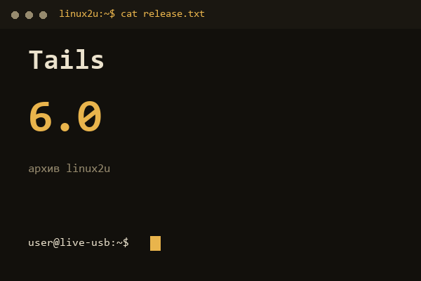 Tails 6.0 — обложка карточки архива Linux2U