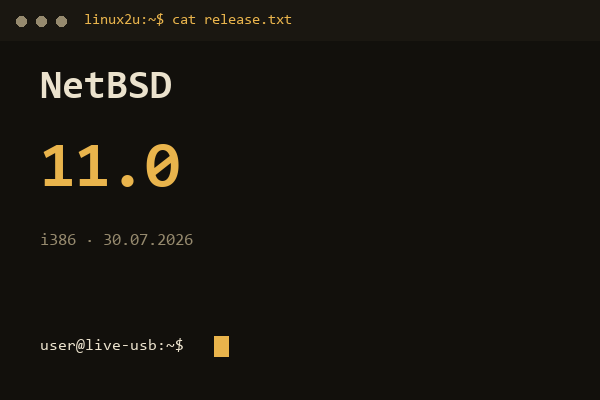 NetBSD 11.0 i386 — обложка карточки архива Linux2U