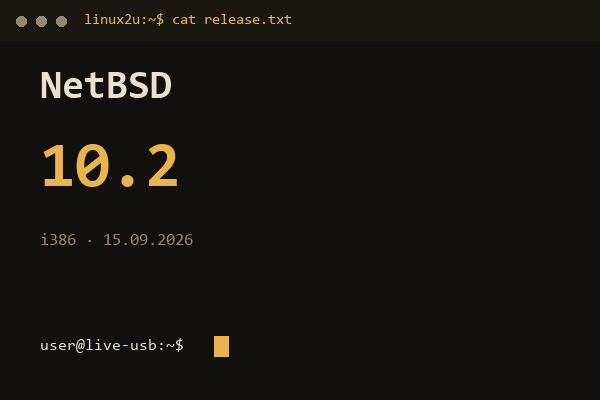 NetBSD 10.2 i386 — обложка карточки архива Linux2U