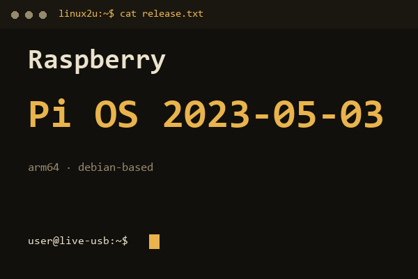 Raspberry Pi OS 2023-05-03 arm64 — обложка карточки архива Linux2U