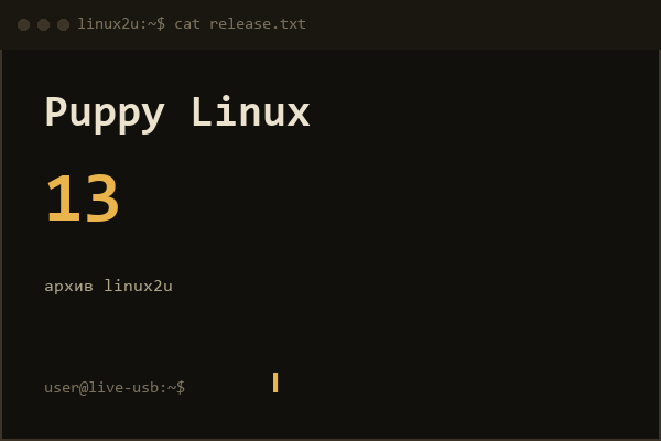 PuppyRus 13 IceWM 1 CD